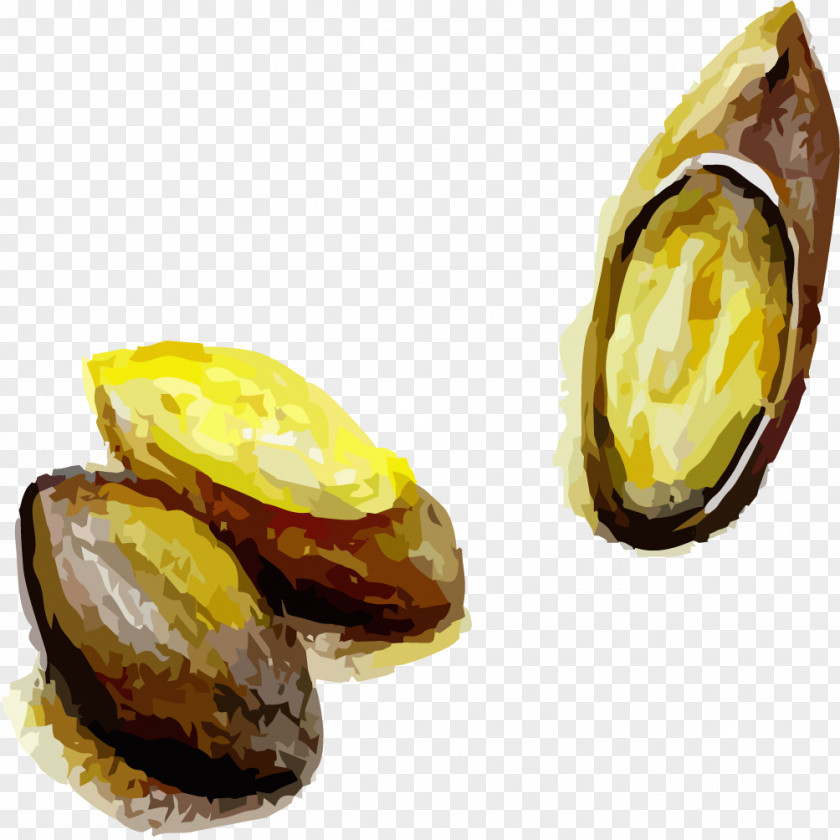 Hand-painted Almond Elements, Hong Kong Illustration PNG