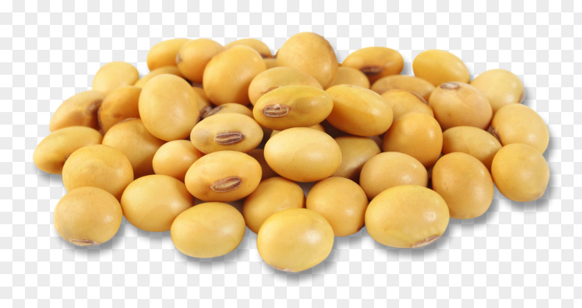 Soybean Seed Chickpea Vegetarian Cuisine Legume PNG