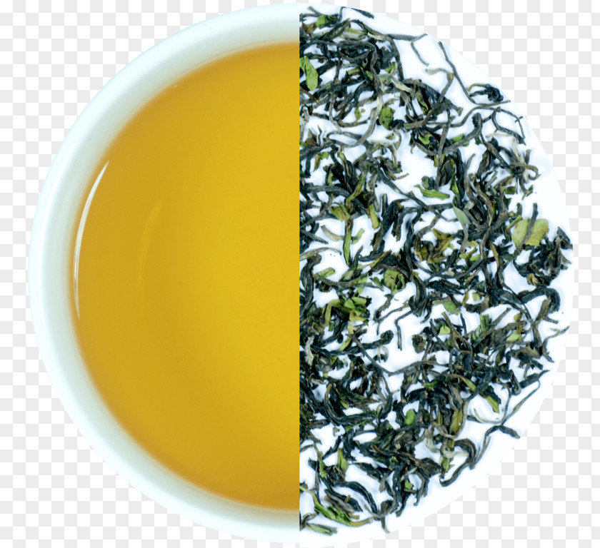 Tea Gyokuro Nilgiri Oolong Darjeeling Assam PNG