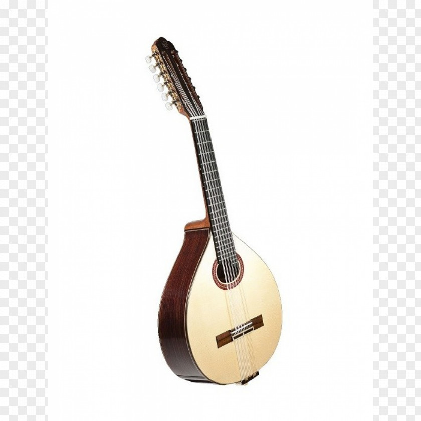 Acoustic Guitar Tiple Cuatro Lute Bağlama PNG