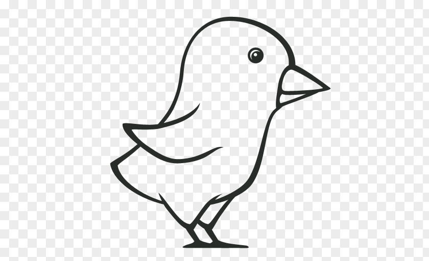 Bird Clip Art Image PNG