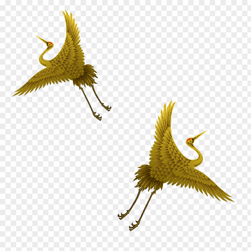 Crane Vector Material Bird Flight Domestic Canary PNG