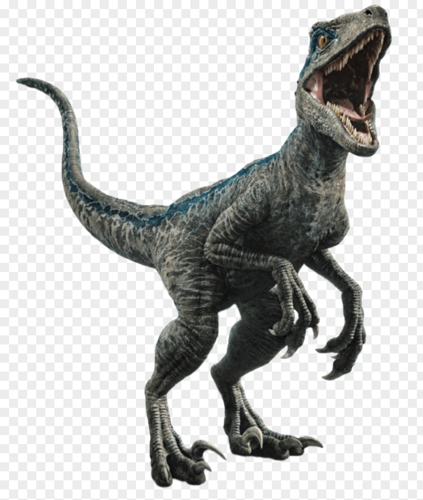 Dinosaur Velociraptor Owen Jurassic World Evolution Park PNG