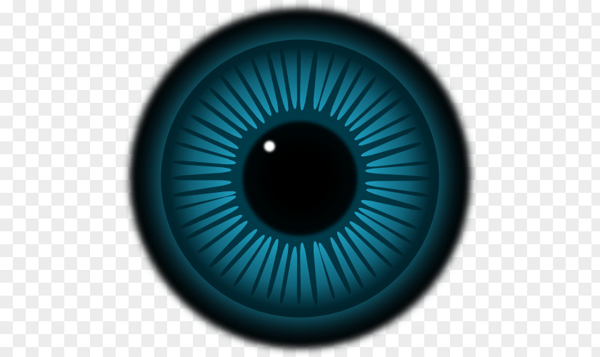 Eye Simple In Invertebrates Iris PNG