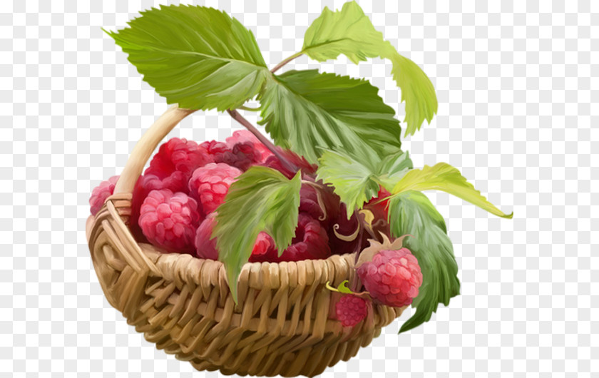 Fruits Basket Raspberry Fruit Strawberry Food PNG