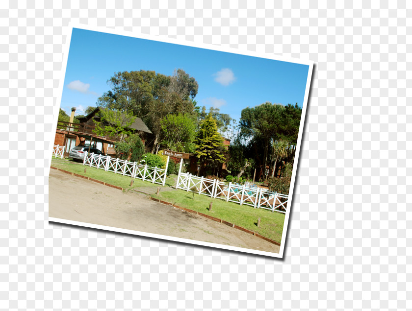 Gaviotas Real Property Land Lot Advertising Picture Frames PNG