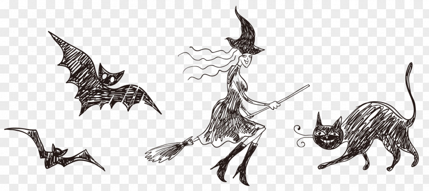 Halloween Witch PNG