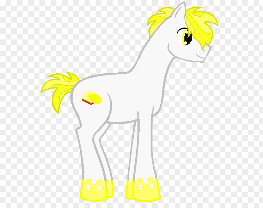 Horse Pony Line Art Clip PNG