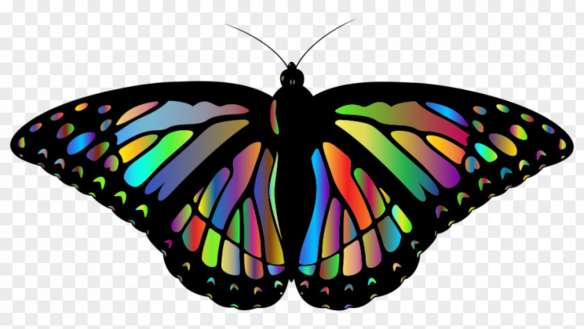 Rainbow Fairy Wings Pattern Butterfly Winter Rae Clip Art Image PNG