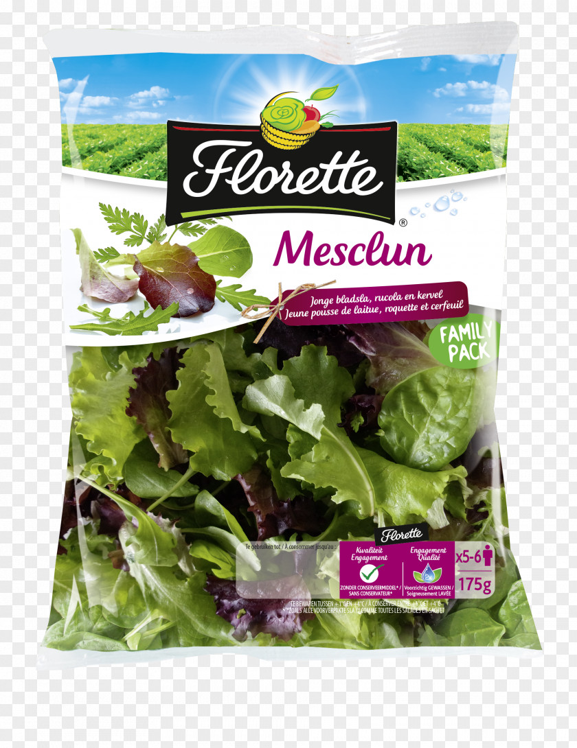 Salad Romaine Lettuce Mesclun Corn PNG