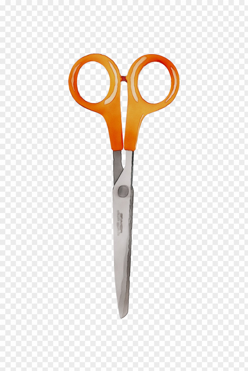 Scissors Fiskars Oyj Kynsisakset Product Design PNG