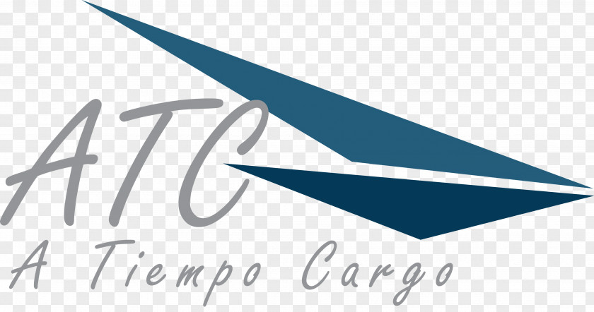 Toro A Tiempo Cargo Inc Paispamba Elizabeth Atiempo SAS PNG