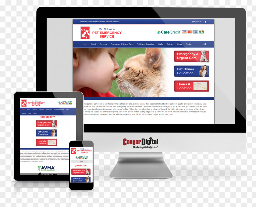 Web Design Page Digital Marketing Online Advertising PNG