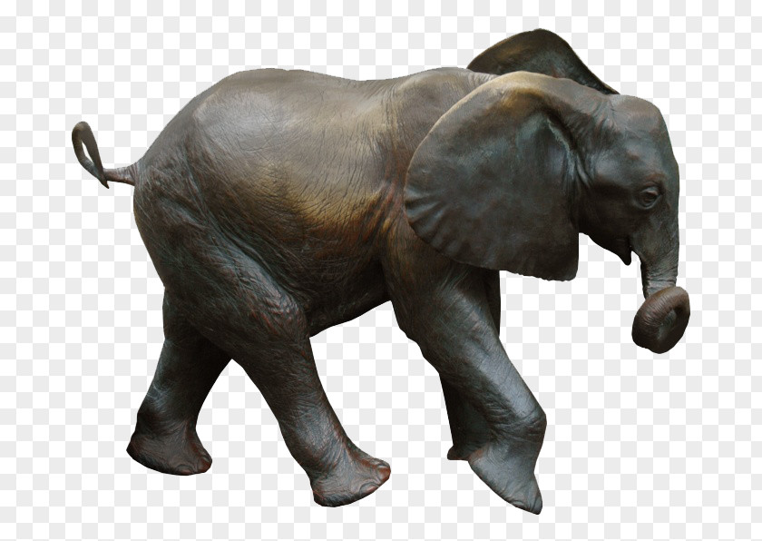 An Elephant African Indian Clip Art PNG