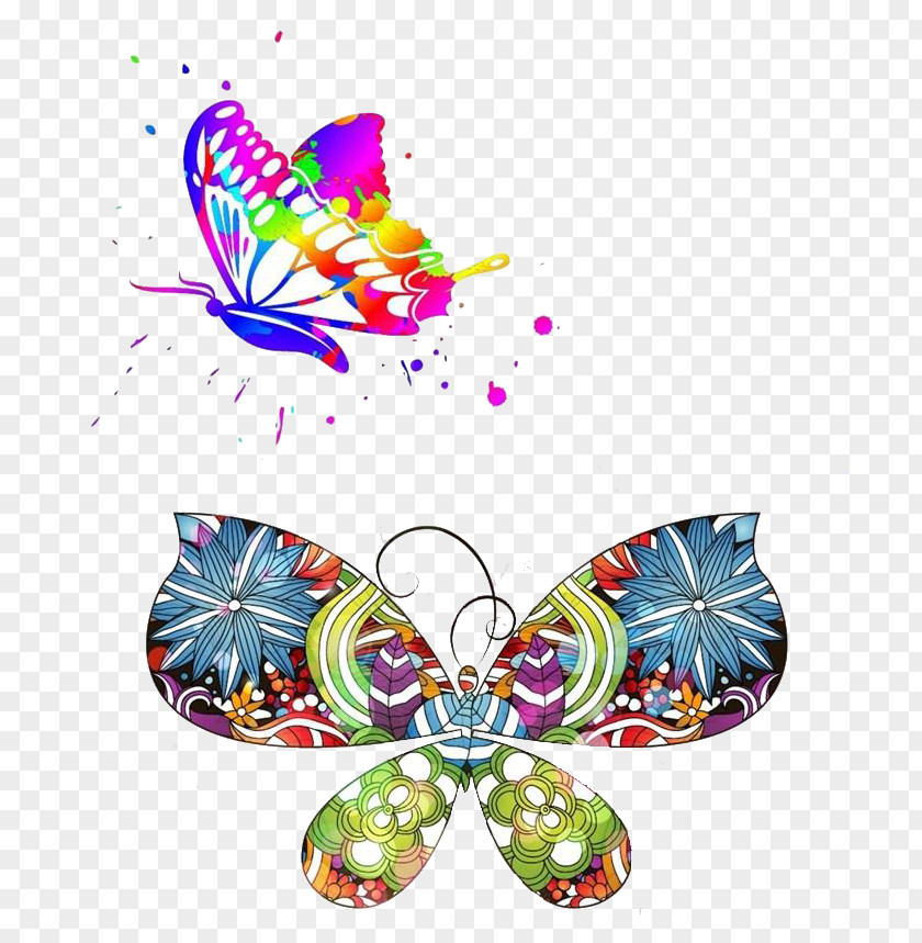 Colorful Butterfly Diagram Illustration PNG