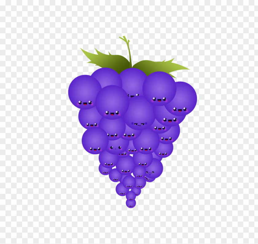 Grape Common Vine Fruit Wine PNG
