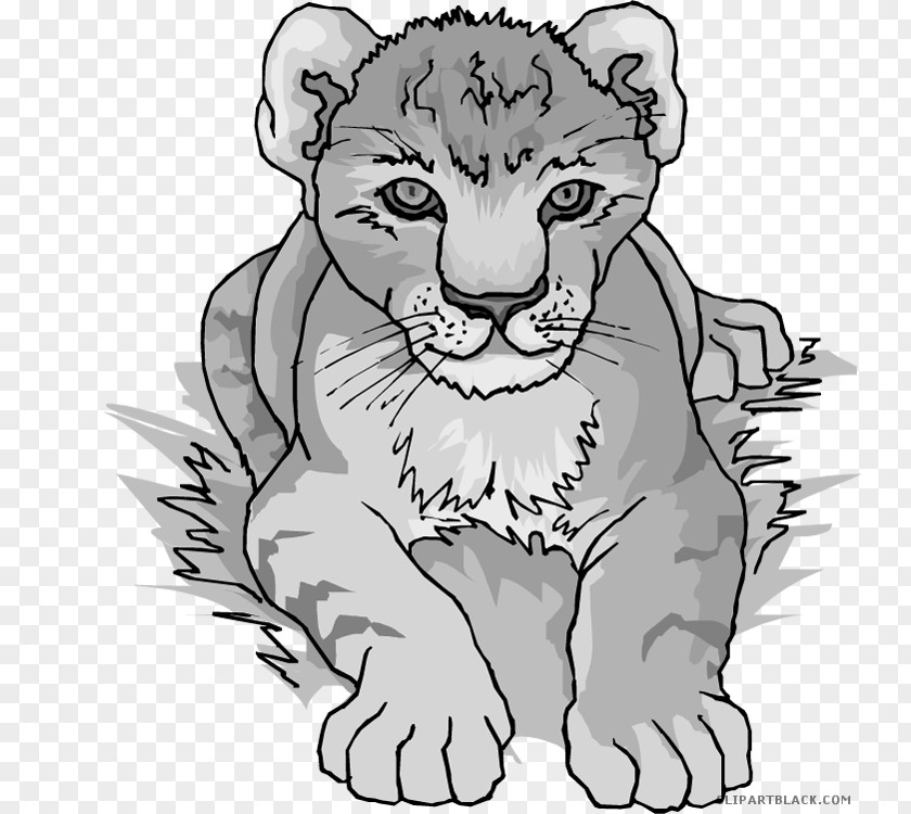 Lion Tiger Clip Art Cougar Image PNG
