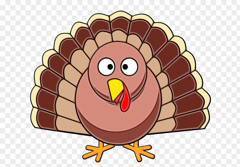 Beak Bird Turkey Thanksgiving Cartoon PNG