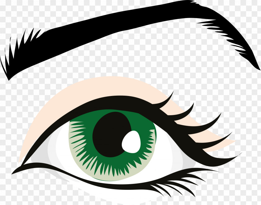 Eye Pupil Human Color Clip Art PNG