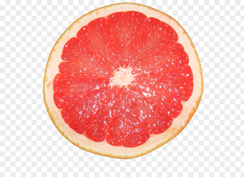 Grapefruit Pomelo Citrus Myrtifolia Tangerine Lemon PNG