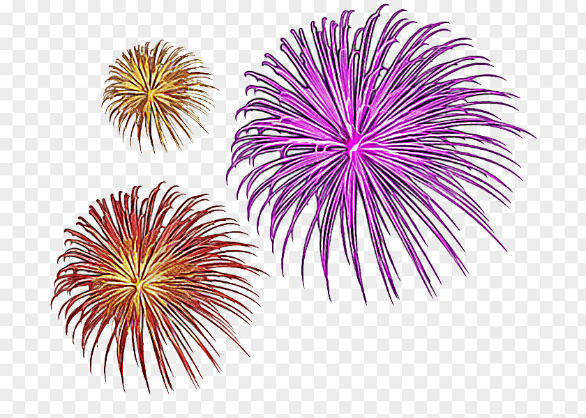 New Years Eve Plant Year's PNG