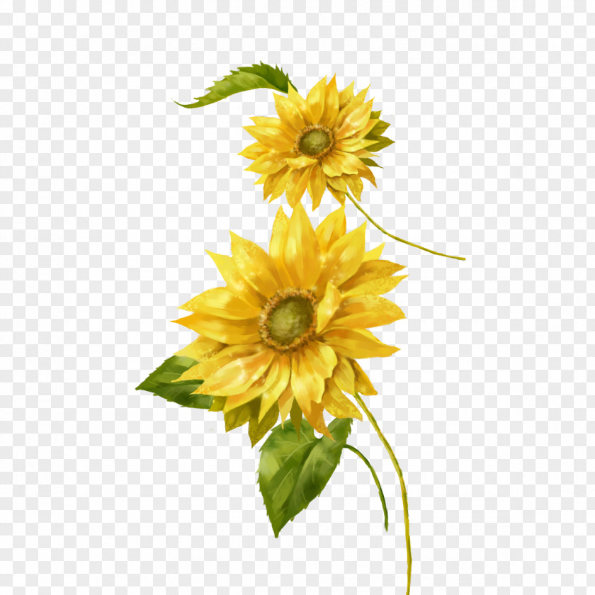 Sunflower Photos Common Painting Yellow Euclidean Vector PNG