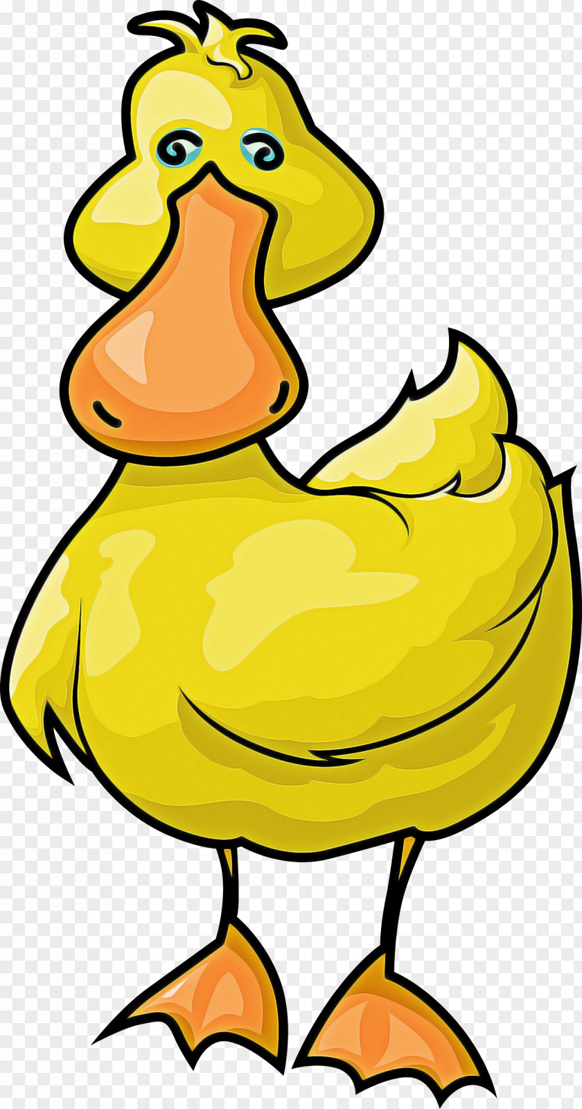 Bird Yellow Beak Cartoon Ducks, Geese And Swans PNG