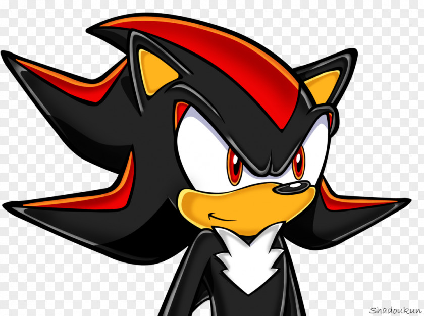 Hedgehog Shadow The Knuckles Echidna Amy Rose Super PNG