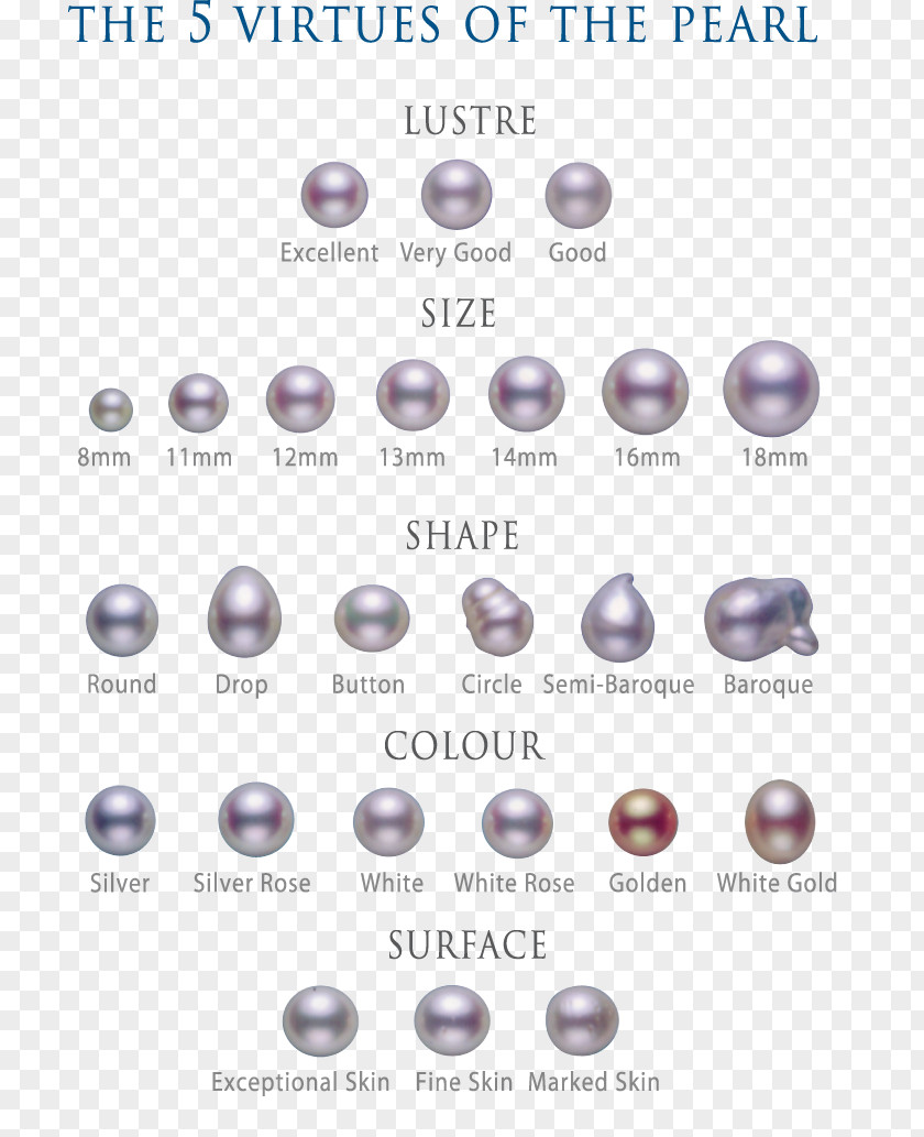 Jewellery Bead Material Body Barnes & Noble Font PNG