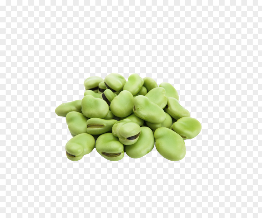Lima Bean Broad Common Food Pea PNG