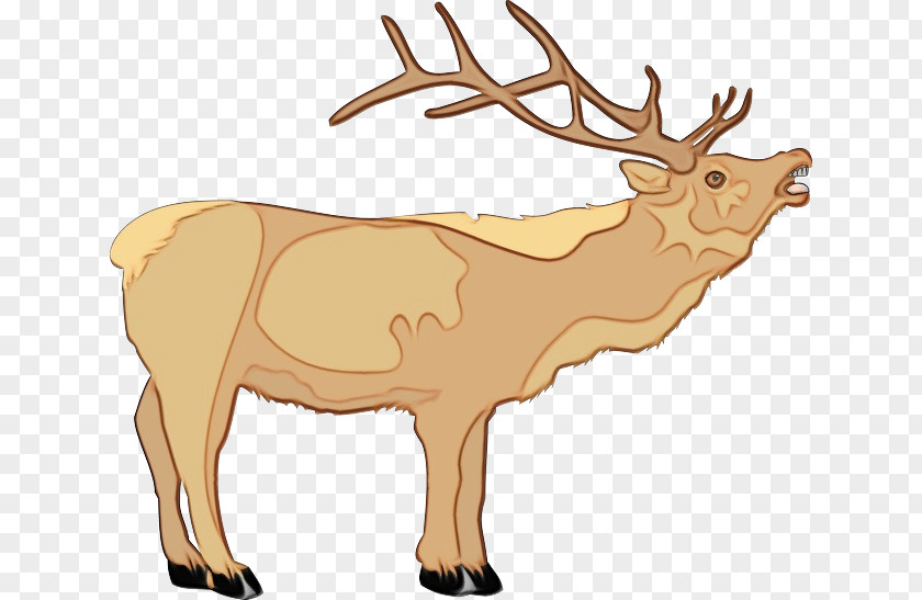 Antler Animal Figure Reindeer PNG