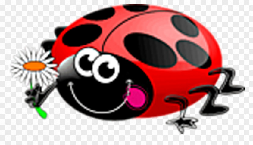 Birthday Cake Ladybird Beetle Clip Art PNG