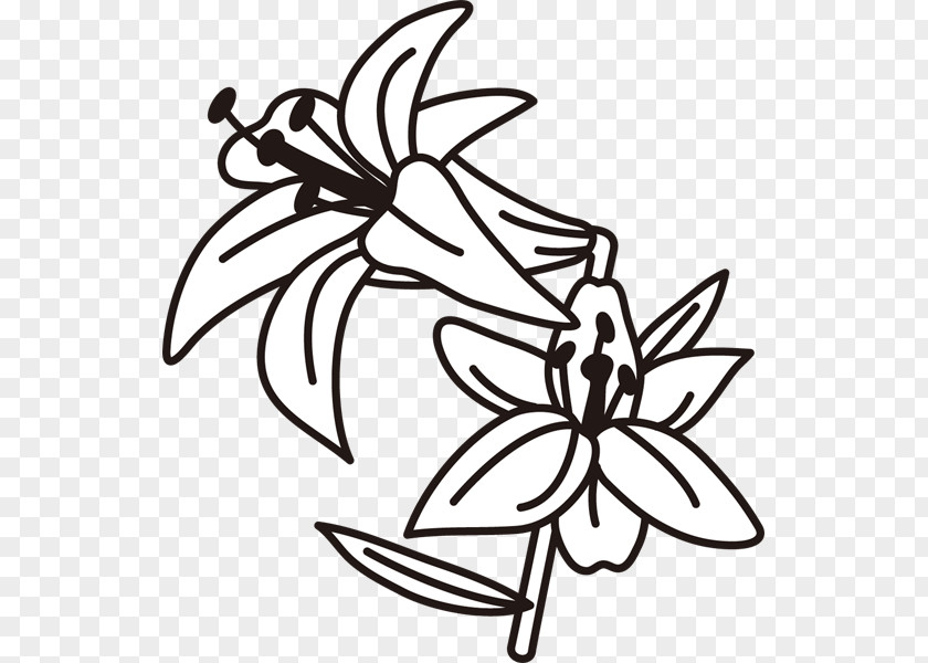 Design Black And White Flower Clip Art PNG