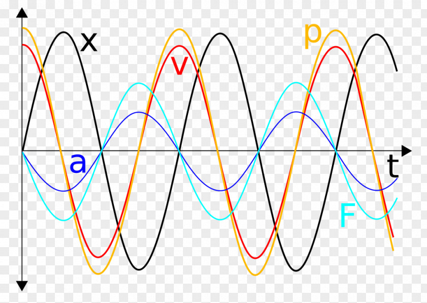 Dog Graphic Design Drawing Chart Graph Of A Function PNG