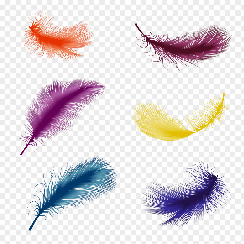 Floating Feather Bird Euclidean Vector Illustration PNG