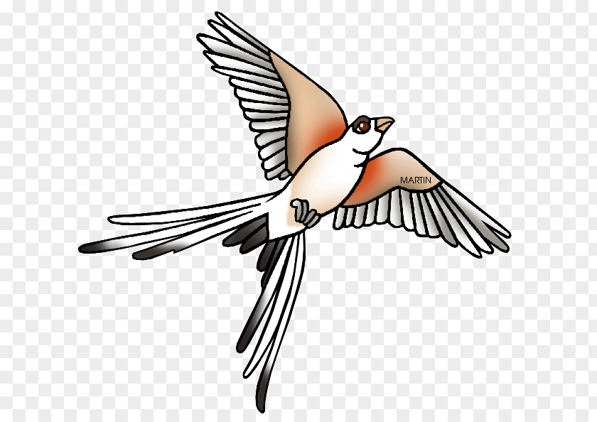 Oklahoma State Cliparts Scissor-tailed Flycatcher Free Content Clip Art PNG