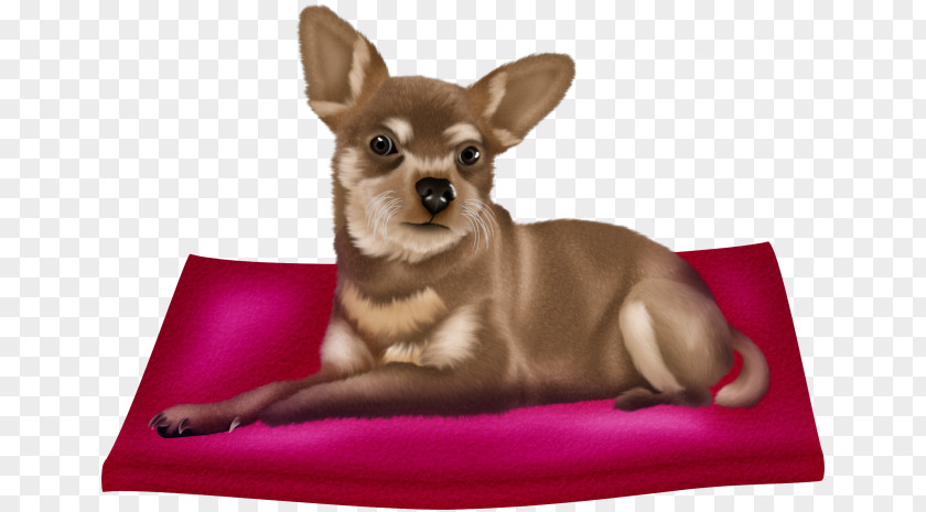 Puppy Transparent Background Chihuahua Companion Dog Cuteness Breed PNG