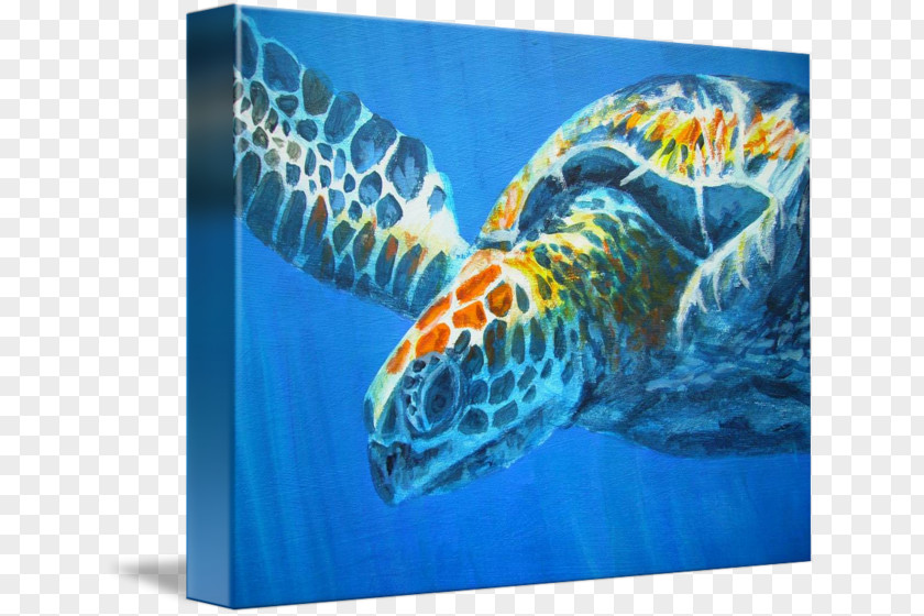 Turtle Loggerhead Sea Art Museum Painting PNG