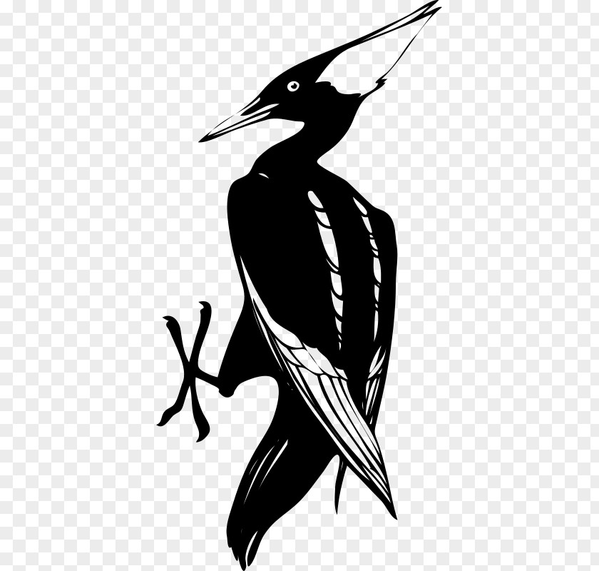 Woody Woodpecker Clip Art PNG