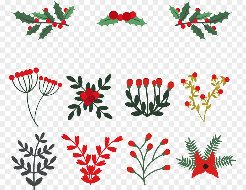 11 Kinds Of Winter Flowers Clip Art PNG