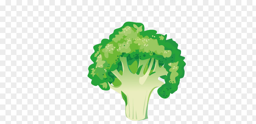 Broccoli Vegetable Asparagus Illustration PNG