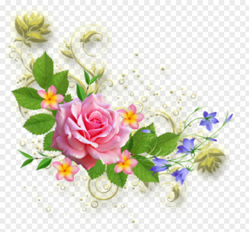 Floral Greeting Cuadro Clip Art PNG