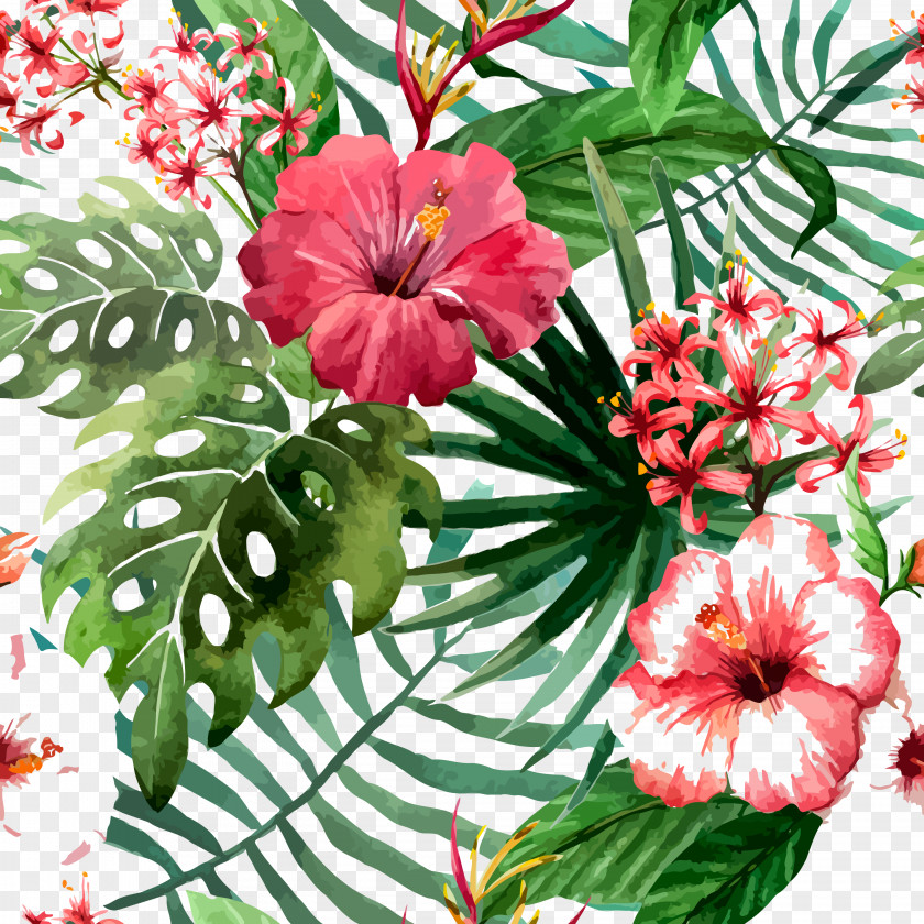 Hand Painted,flower,poster Flower Drawing Tropics Stock Photography PNG