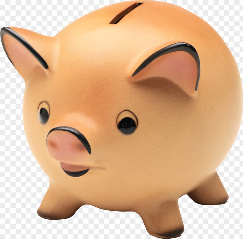 Pig Piggy Bank Money Animation PNG