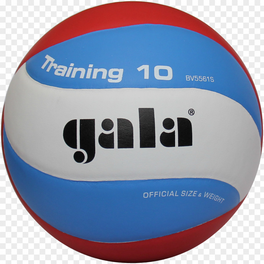 Volleyball Gala School 10 BV5711S Newcomb Ball Medicine Balls PNG