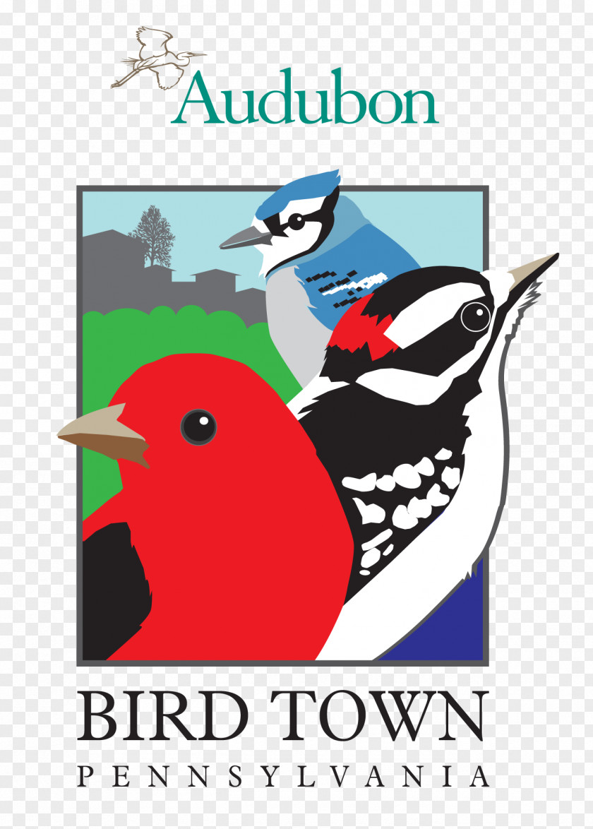 Bird Doylestown Cheltenham Township Mill Grove National Audubon Society PNG