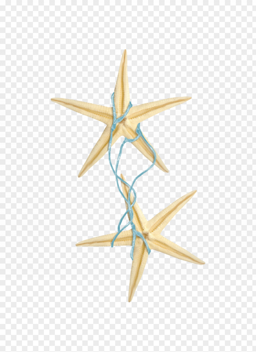 Starfish Rope Blue PNG