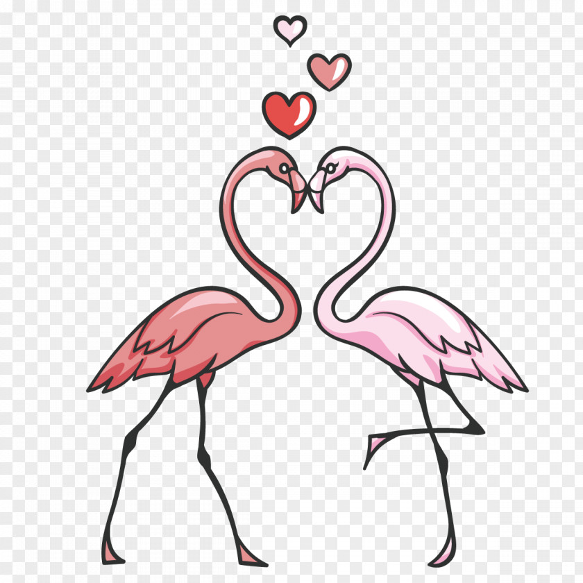 Vector Flamingos Flamingo Bird Pink Clip Art PNG
