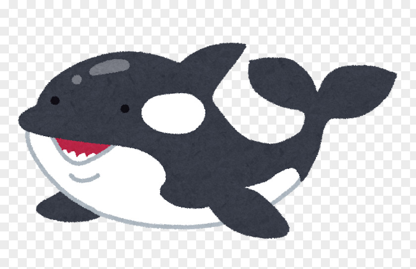 Whale Killer Kumiyama Town Mimaki Elementary School Dolphin Great White Shark Cetaceans PNG