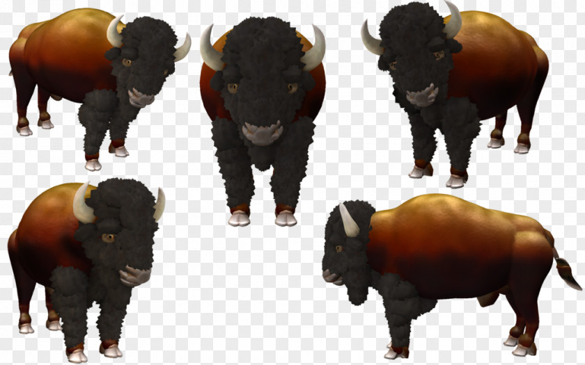 American Bison Bull Cattle Horn Terrestrial Animal PNG